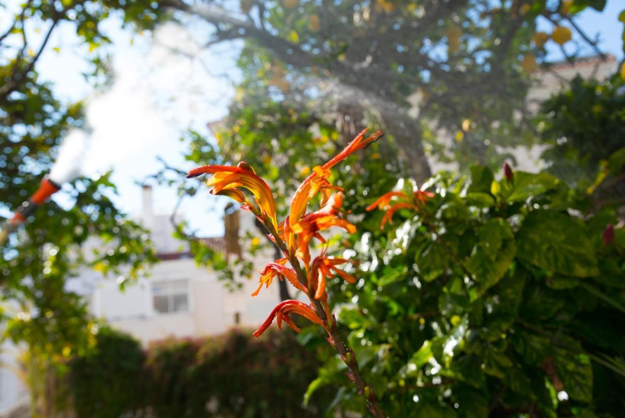 Flat With A Garden In Belem Lejlighed Lisboa Eksteriør billede